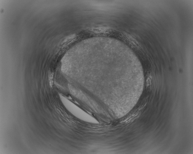 X0000062171156200601061033