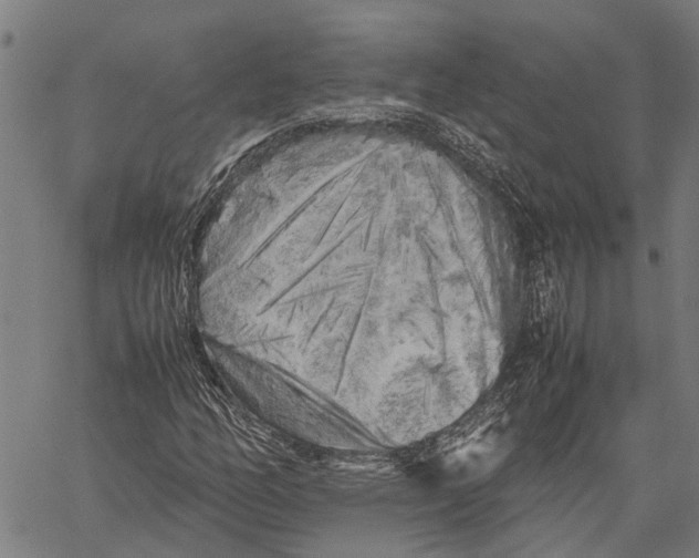 X0000062171158200601061033
