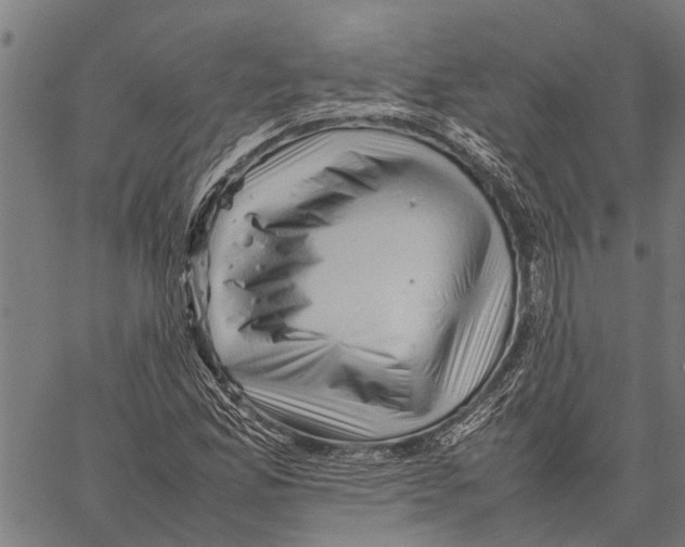 X0000062171165200601061033