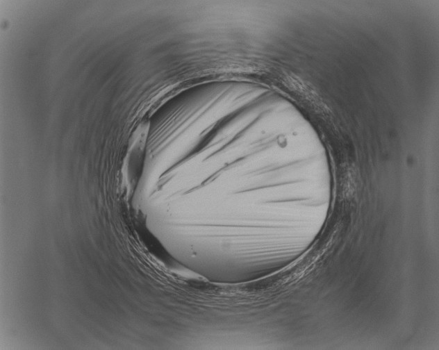 X0000062171169200601061033