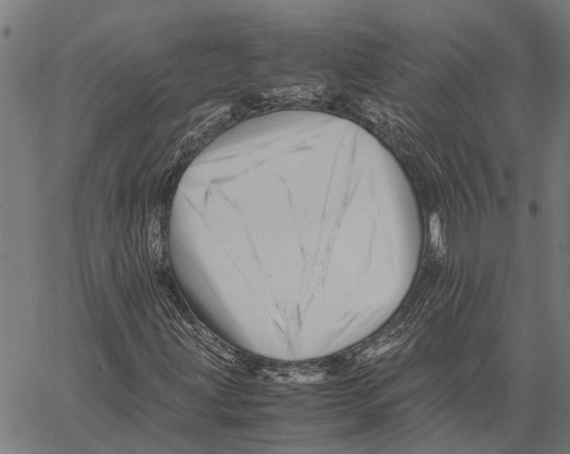 X0000062171203200601061032