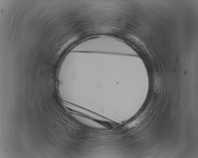 X0000062171210200601061032