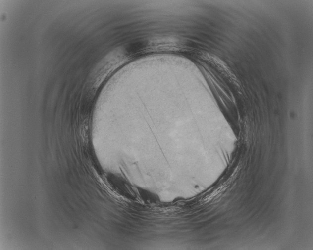 X0000062171225200601061032
