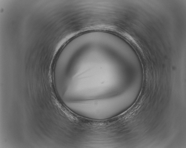 X0000062171230200601061032