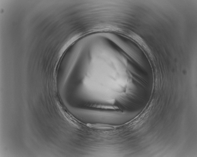X0000062171242200601061032
