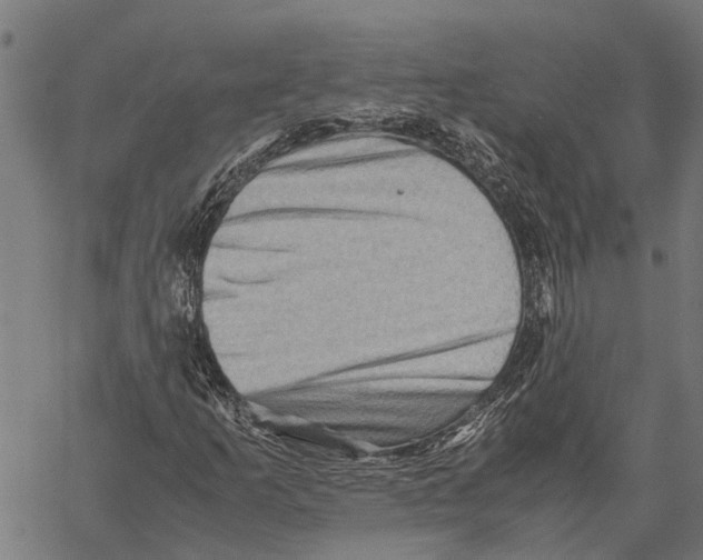 X0000062171253200601061032