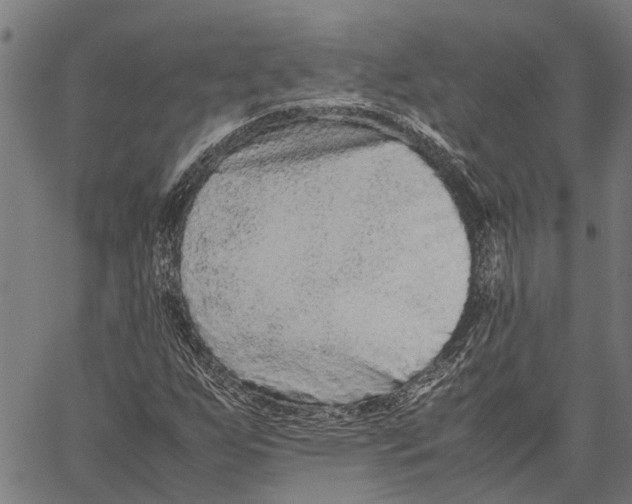 X0000062171255200601061031