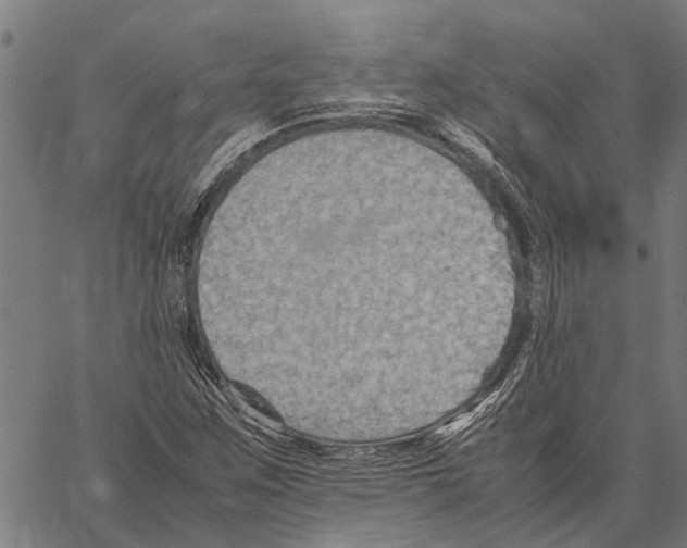 X0000062171259200601061031