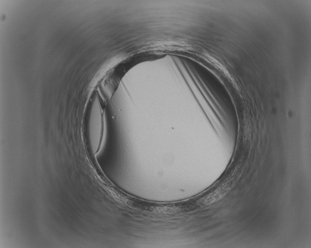 X0000062171277200601061031