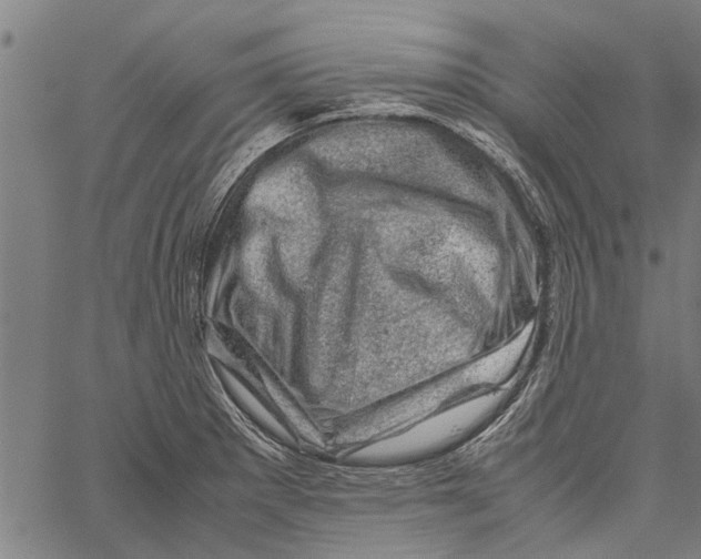 X0000062171281200601061031