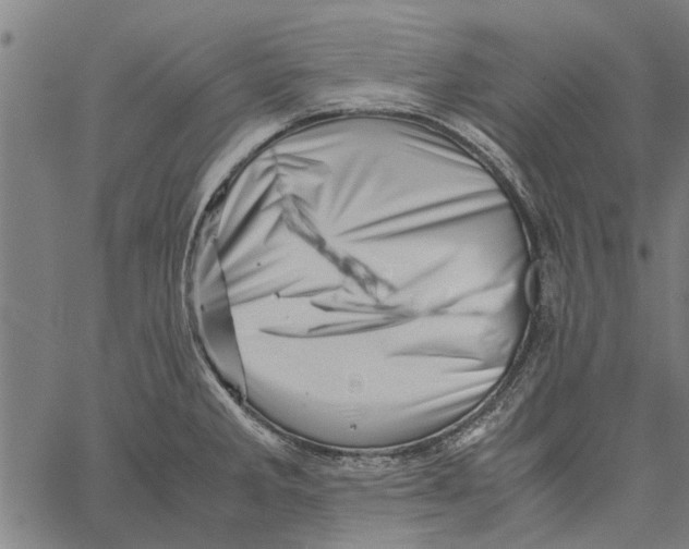 X0000062171285200601061031