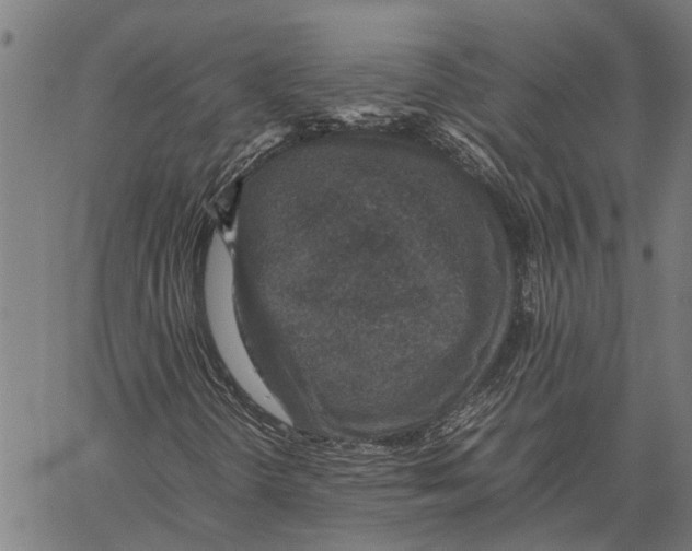 X0000062171298200601061030