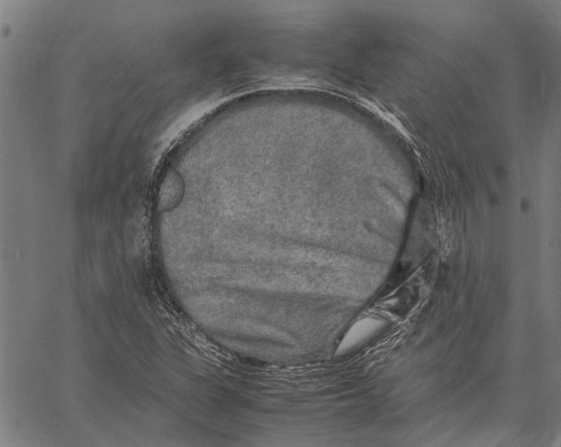 X0000062171311200601061030