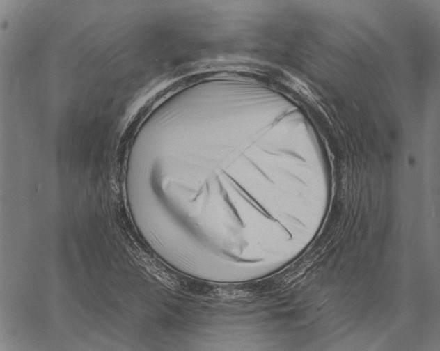 X0000062171312200601061030