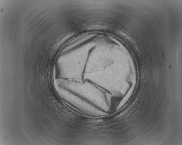 X0000062171313200601061030