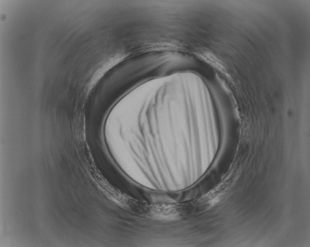 X0000062171317200601061030