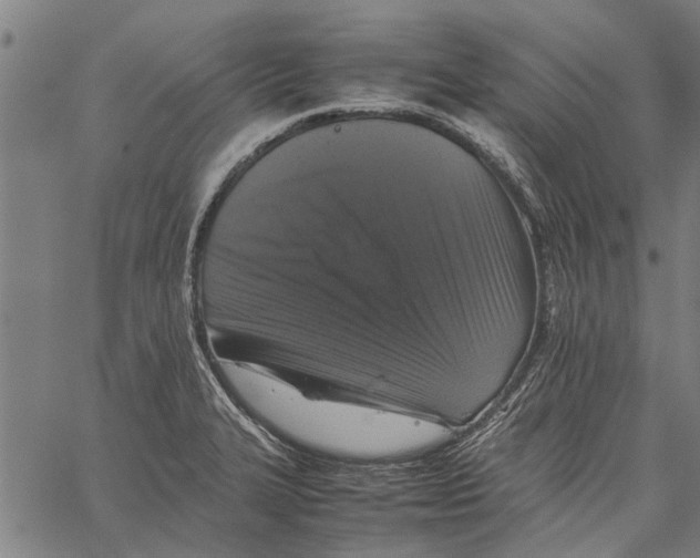 X0000062171327200601061030
