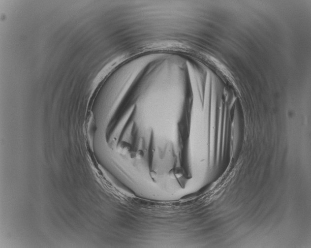 X0000062171330200601061031