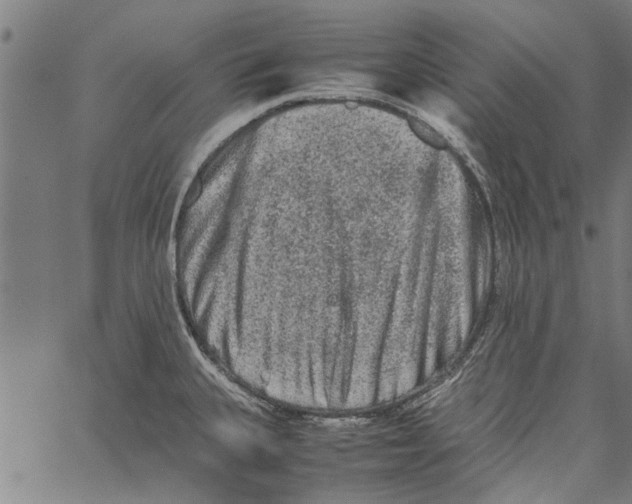 X0000062171335200601061031