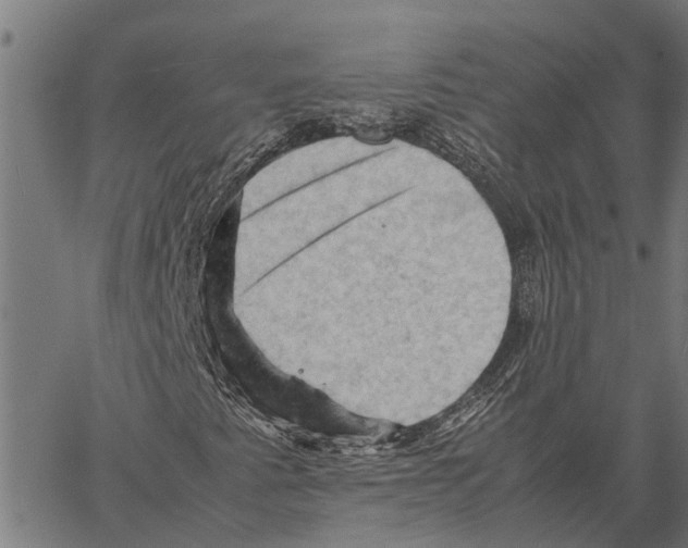 X0000062171345200601061030