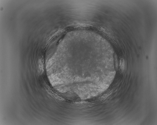 X0000062171348200601061030