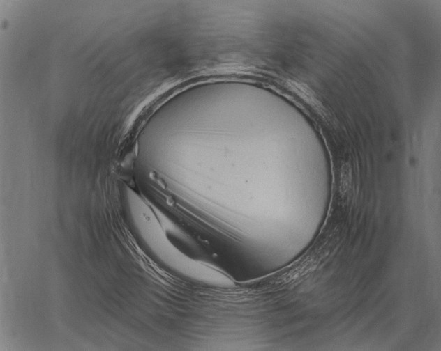 X0000062171356200601061030