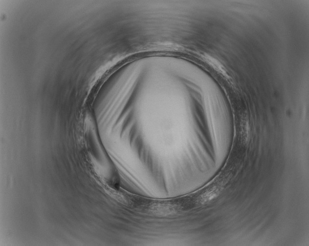 X0000062171364200601061030