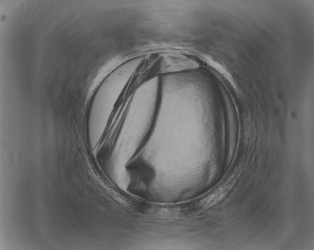 X0000062171365200601061030