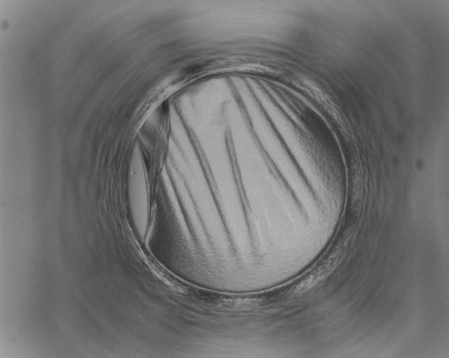 X0000062171377200601061029