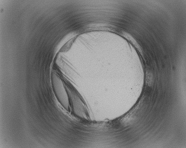 X0000062171386200601061029