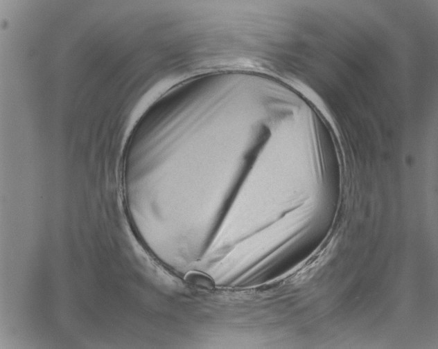X0000062171389200601061029