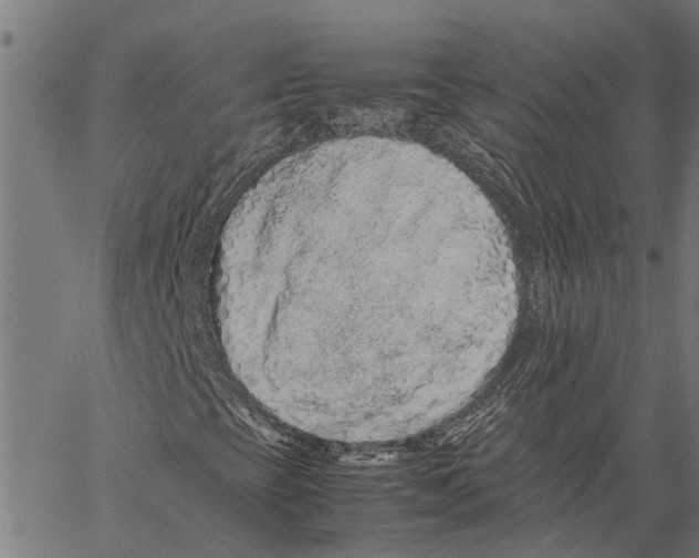 X0000062171393200601061028