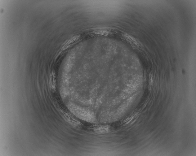 X0000062171394200601061028