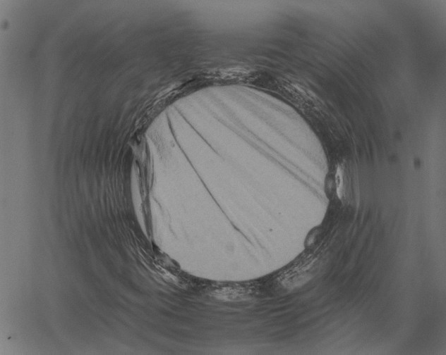 X0000062171395200601061028