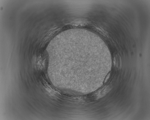 X0000062171396200601061028