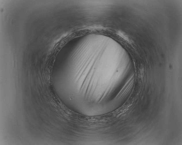 X0000062171398200601061028