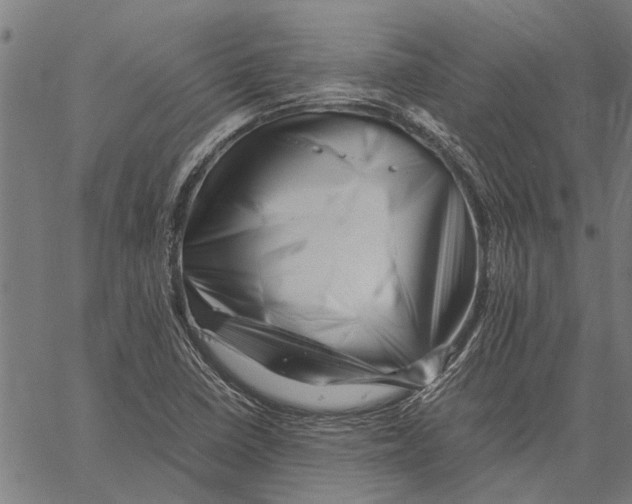 X0000062171410200601061029