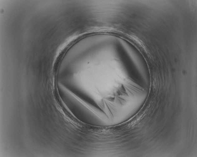 X0000062171414200601061029