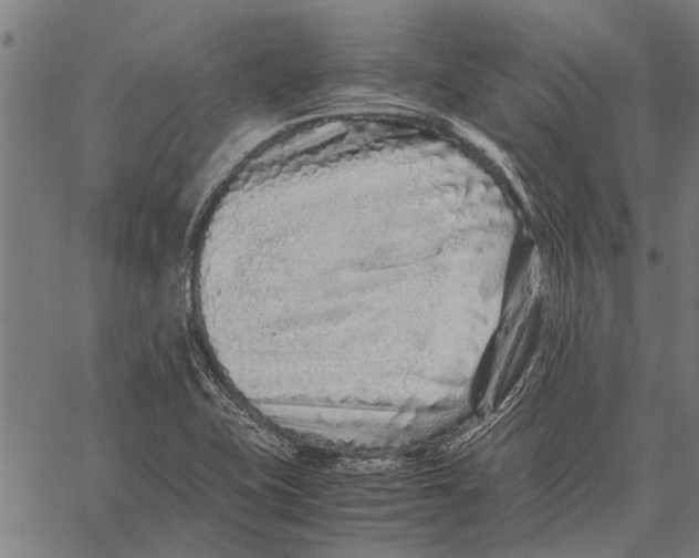X0000062171415200601061029