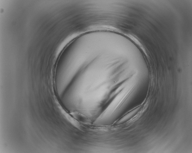 X0000062171438200601061029