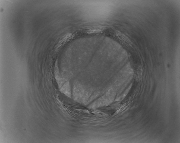 X0000062171441200601061028