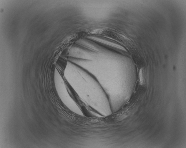 X0000062171443200601061028