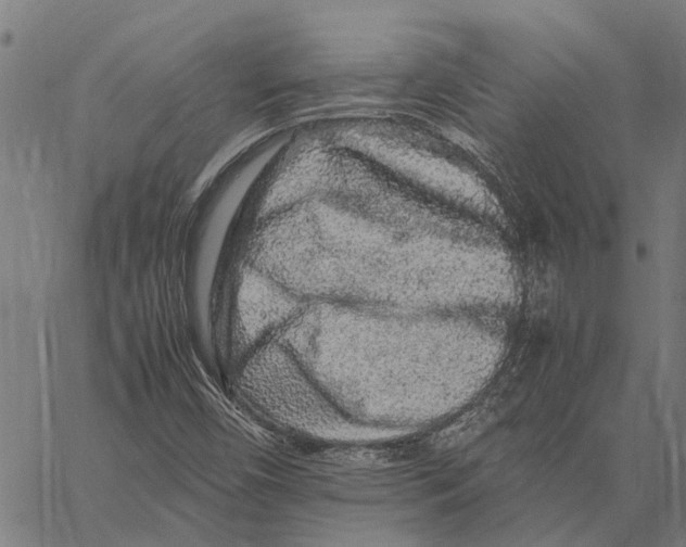 X0000062171450200601061028