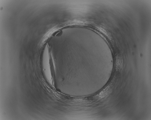 X0000062171455200601061028