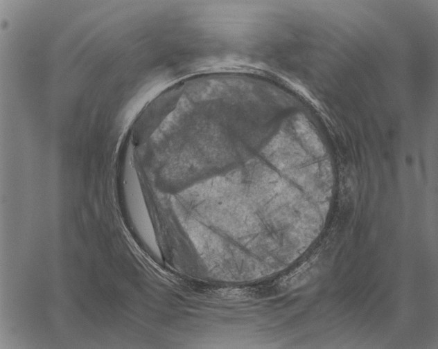 X0000062171463200601061028