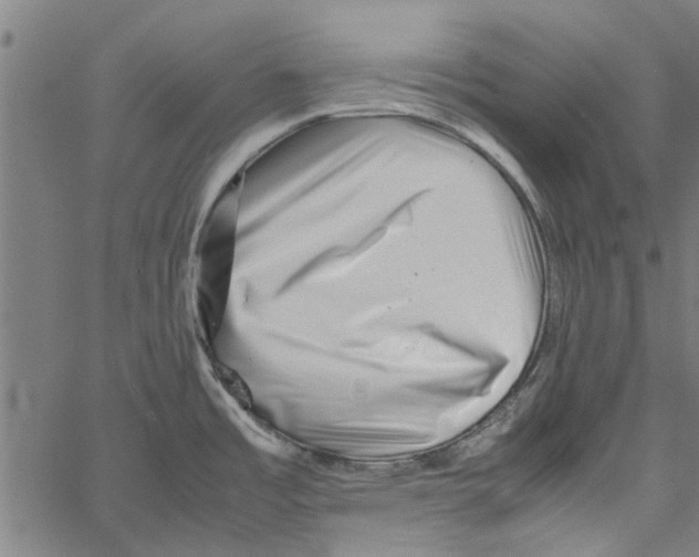 X0000062171485200601061028