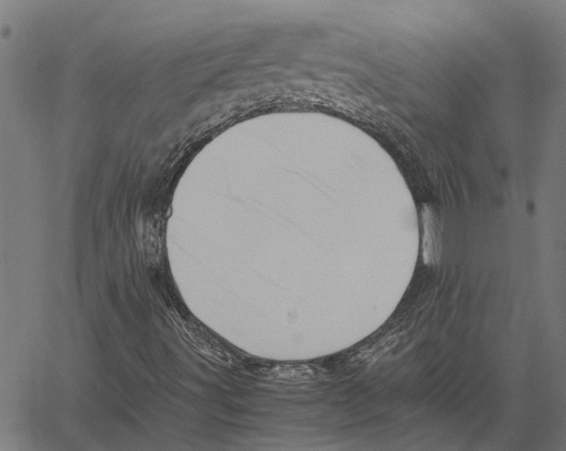 X0000062171491200601061027
