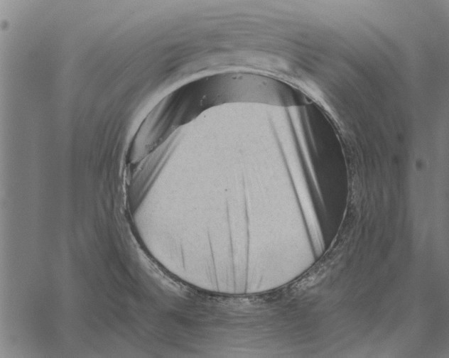 X0000062171524200601061027