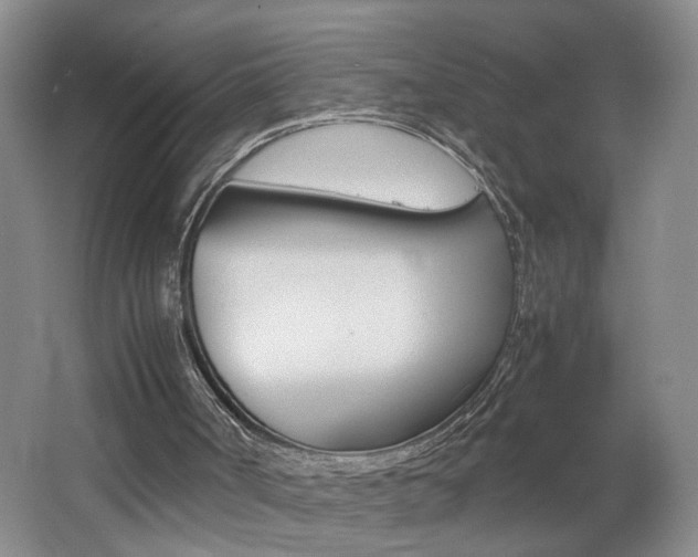 X0000062600002200512210923