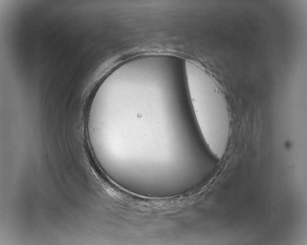 X0000062600005200512210923